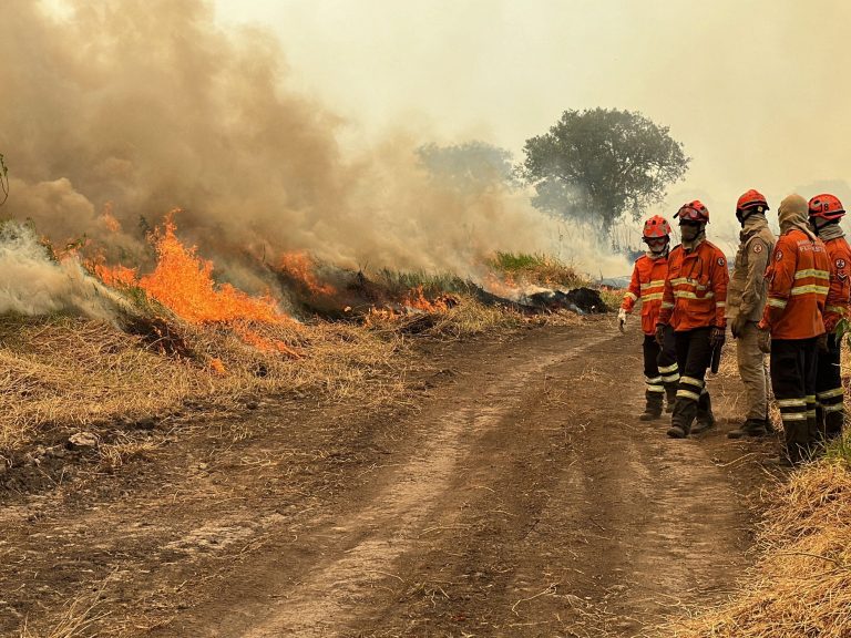 Bombeiros Combatem Incêndios no Pantanal em Poconé e Cáceres