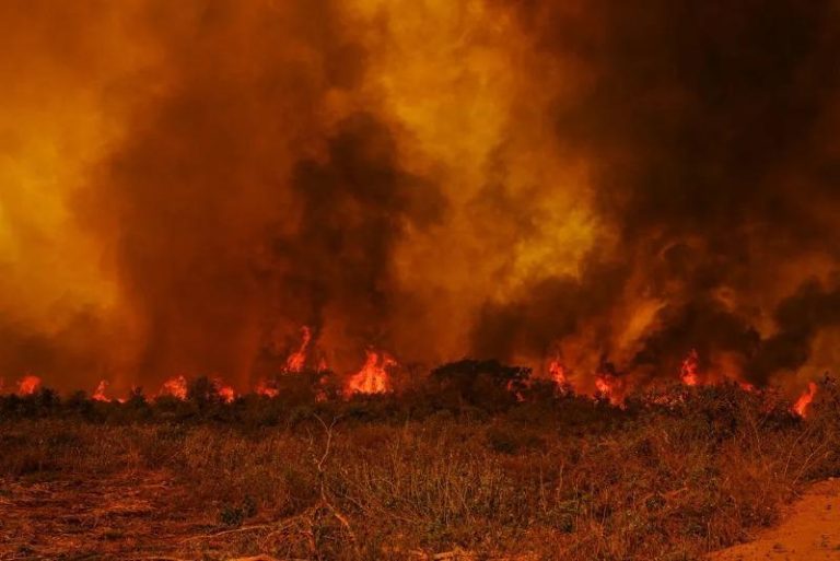 Incêndios Florestais: Mato Grosso Antecipará Período Proibitivo de Uso do Fogo no Pantanal