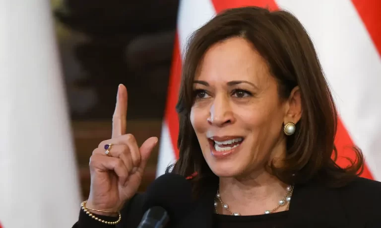 Kamala Harris Garante Apoio para Candidatura à Presidência dos EUA pelo Partido Democrata