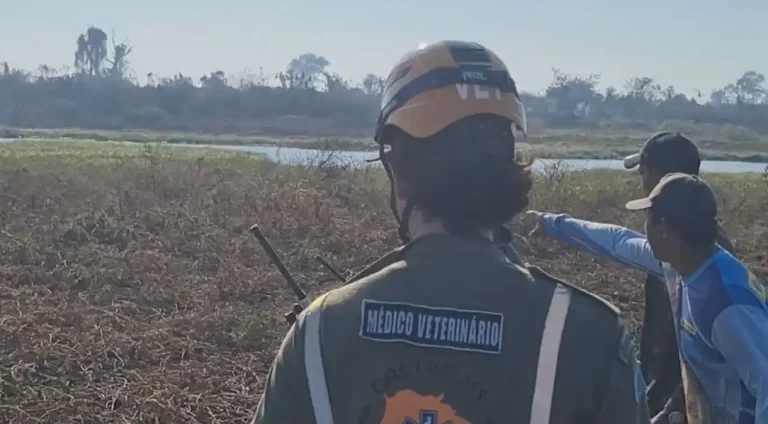 Lula Visita Pantanal Atingido por Incêndios e Participa de Entregas do Minha Casa, Minha Vida