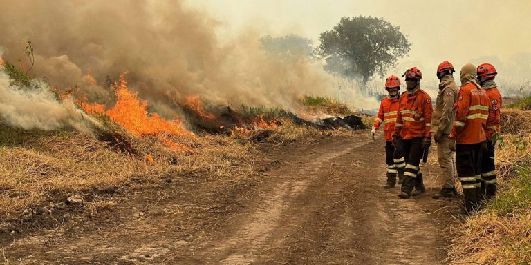 Governo Federal Mobiliza Forças Armadas no Combate aos Incêndios no Pantanal