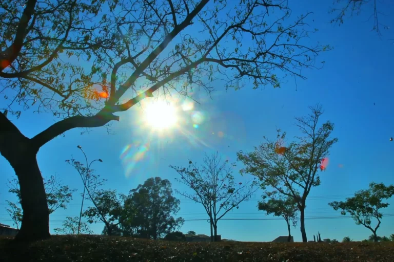 Baixa Umidade e Temperaturas Agradáveis Marcam o Fim de Semana em Mato Grosso