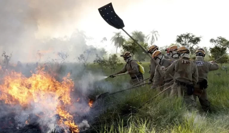 Corpo de Bombeiros Combate Incêndio no Pantanal Mato-grossense