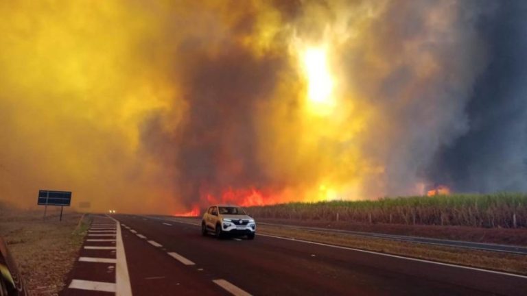 Queimadas Colocam 48 Cidades Paulistas em Alerta Máximo