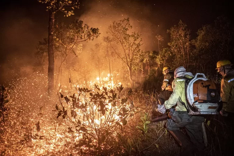 Governo Lula endurece multas para incêndios ilegais em meio a seca histórica