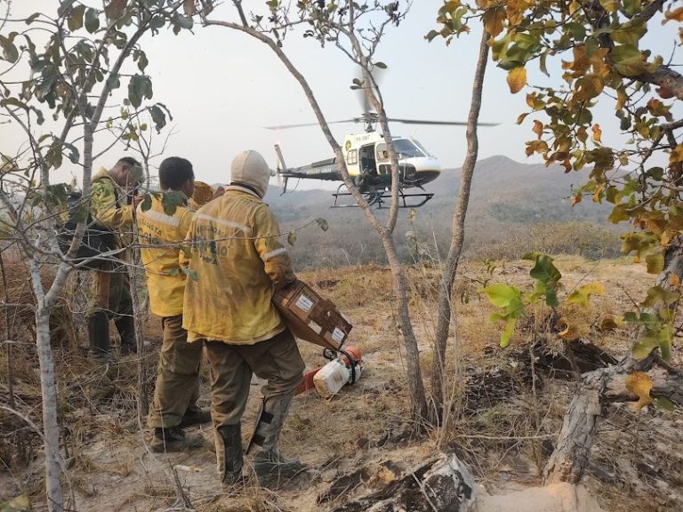 Parque Nacional da Chapada dos Guimarães Fecha Circuito das Cachoeiras Devido a Incêndios Florestais