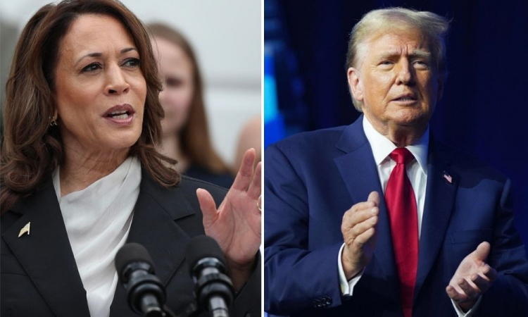 Kamala Harris intensifica campanha digital e investe 20 vezes mais que Trump em plataformas online