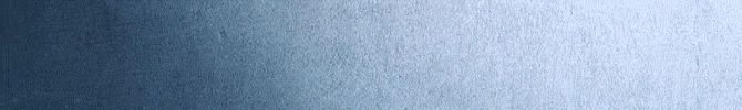 spot_img