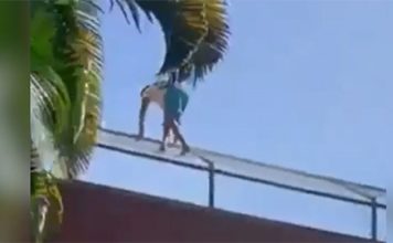 Homem invade jaula e é morto por leoa no zoológico de João Pessoa – Veja Video