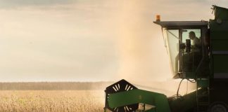 Colheita de soja começa em Mato Grosso e já alcança 19,8% da área plantada