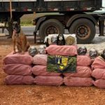 Gefron apreende mais de 400 quilos de skank e causa prejuízo de R$ 1,8 milhão ao crime