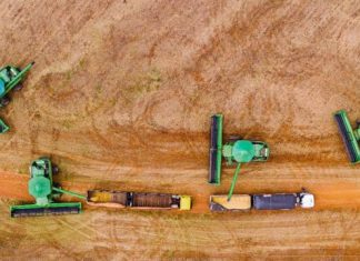 SEFAZ define regras e limites para incentivo fiscal à soja a granel em 2026